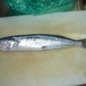 塩麹de旬トビウオの塩焼き レシピ 作り方 By Tententen48 楽天レシピ 塩麹de旬トビウオの塩焼き レシピ 作り方 By Tententen48 楽天レシピ